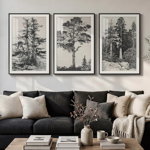 Framed Large Vintage Black and White Wall Art for Living Room, 3 Piece Tree Artwork for Walls, Modern Classic Rustic Sketch Forest Botanical Canvas Painting Prints for Office Wall Decor, 24x36 In - color: Vintage Black, size: 24" W x 36" H x 3pcs