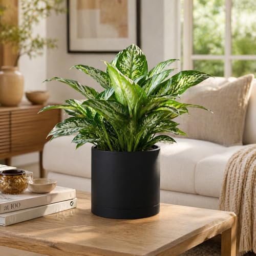 Giraffe Creation 12 Inch Cylinder Plant Pot, Modern Round Planter with Drainage Holes and Saucer, Lightweight Plastic Flower Pot for Indoor Outdoor Plants, Black - color: Black 12 Inch