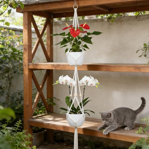 Macrame Plant Hangers 2 Pack, 50 in, Indoor Outdoor, Beige | Natural Cotton Rope, Double-Tier Design, Includes Hooks, Fits Living Room, Balcony, Kitchen, Office