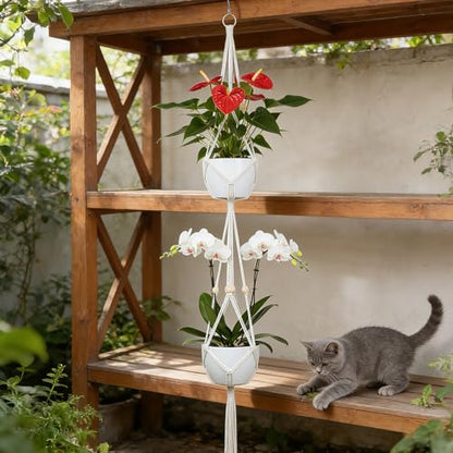 Macrame Plant Hangers 2 Pack, 50 in, Indoor Outdoor, Beige | Natural Cotton Rope, Double-Tier Design, Includes Hooks, Fits Living Room, Balcony, Kitchen, Office