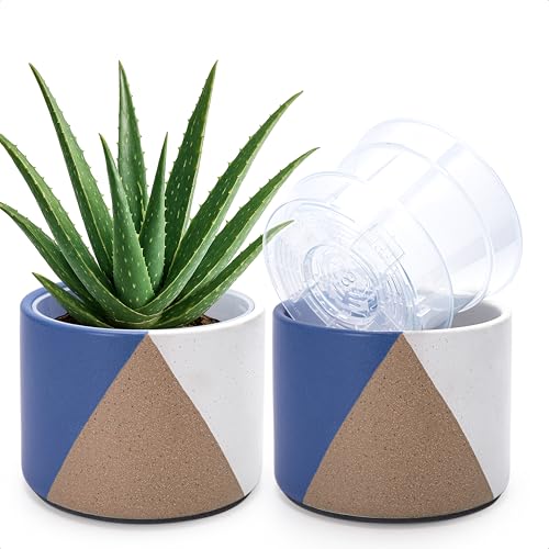 D'vine Dev 2-Pack Cachepot with Clear Pot, 6.5"low, Cobalt Canyon, 93-V-D-3 | Dual-Pot System, Root Visibility, Bottom Watering Support, Enhanced Drainage, Artistic Stoneware Design, Easy Plant Care - color: Cobalt Canyon, size: 6.5” Cachepot + 6“ Clear G