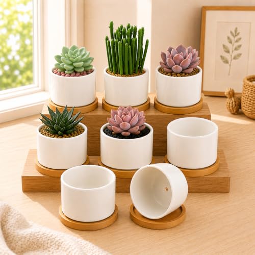 ZOUTOG Ceramic Succulent Pots 8 Pack,3.6 Inch Plant Pots,Succulent Planters with Drainage Hole & Bamboo Tray for Indoor Plants,White Small Flower Planters for Home,Office,Desk - size: 8 pack