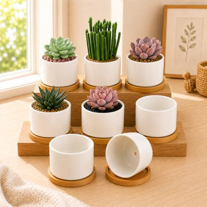 ZOUTOG Ceramic Succulent Pots 8 Pack,3.6 Inch Plant Pots,Succulent Planters with Drainage Hole & Bamboo Tray for Indoor Plants,White Small Flower Planters for Home,Office,Desk - size: 8 pack