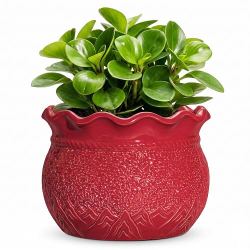 Ceramic Planter 6 Inch, Ceramic Plant Pots for Indoor Plants, Red | Unique Round Flower Pot with Drainage Hole, Small Decorative Pots for Plants, Table Patio Decor, Plant Lover Gifts - color: Red, size: 6 Inch