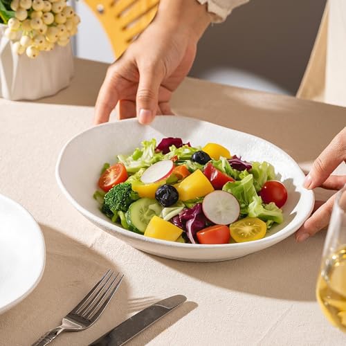 Handcrafted Ceramic Plates Set of 2, Pasta Bowls | 10'' Serving Bowls for Entertaining, Serving Dishes | Porcelain White Shallow Bowls for Salad, Soup, Pasta and Dinner Microwave/Oven/Dishwasher Safe - color: White Speckled