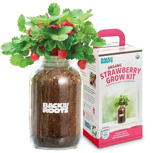 Back to The Roots Organic Strawberry Grow Kit — Grows Year Round, Includes Everything Needed for Planting - style: Strawberry