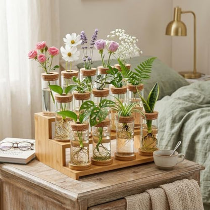 16 Pcs Propagation Vases with Bamboo Stand and Hole Lid, Glass Plant Propagation for Plants Water Hydroponic Desktop Office Home Vase Decoration(Classic Style)