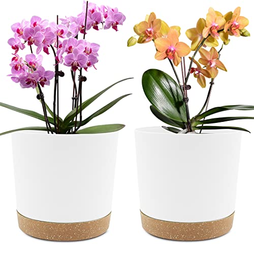 QCQHDU 8 inch Plant Pot, 2 Pack Planters for Indoor Plants with Drainage Holes & Saucer, Outdoor Flower Pots Home Garden Modern Decor - color: White, size: 8 inch