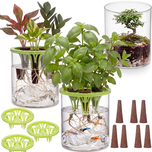 3 Sets Hydroponic Planter Pot Kit Plant Propagation Station Vase Terrarium Glass Planter Indoor Self Watering Planters Herb Garden Kit for Seed Starting Root Monitoring Garden