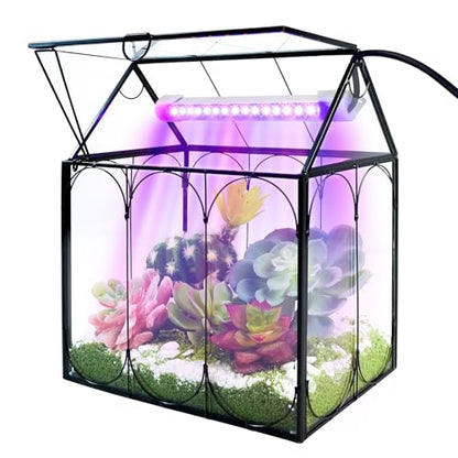 RIFNY Plant Terrarium with Grow Light, Glass Terrarium 7.1 x 4.8 x 8.8 Inch | Terrarium with LED Grow Light and Absorbent Mat for Venus Fly Trap Succulent Live Air Plants Indoor Home Office Decor - size: Black-Small with Plant Light