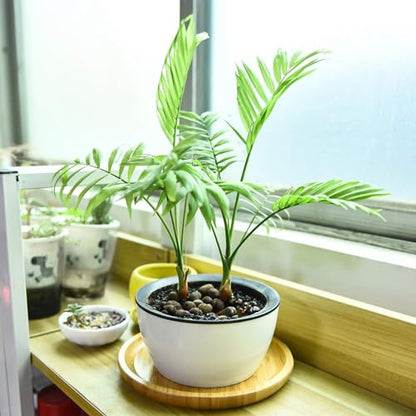 2 Pack Bamboo Saucer, 10.5 inch Plant Saucer, 10" Cactus Plant Tray, Round Bamboo Tray for Modern Ceramic Flower Pot, Planter Pot Tray, Also Use Cup Holder, Spoon Holder, Kitchen Utensil Rest - size: 10.5 Inch