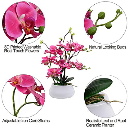 W&W Artificial Orchid Plants and Flowers with Vase, Fake Faux Orchid in Ceramic Pot,17”, Fuchsia - color: Fuchsia 02