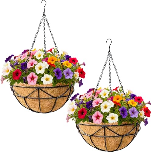 12 Inch Plant Hanging Baskets 2 Pack Round Metal Hanging Planter with Coco Coir Liner Chain for Plants Outdoor Plant Basket Porch Indoor Garden Decoration Flower Pots - color: Geometric