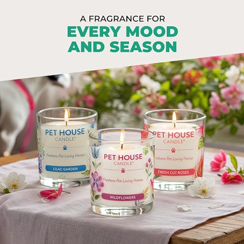 Pet House Candles, Clean Burning Scented Pet Odor Candles, Natural Soy-Based, 60 Hour Burn Time - Snow Cone, 9 oz, 2 Pack - color: Snow Cone, size: Pack of 2