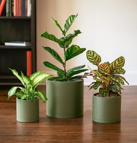 D'vine Dev 3-Pack Plastic Pots & Saucers, 6.5/8/10 in, Olive, 74-V-I-4 | Multi-Size Options, Lightweight Durable, Matte Finish, Cylinder Shape, Drainage Holes, Sleek Design, Detachable Saucer - color: Olive, size: Large