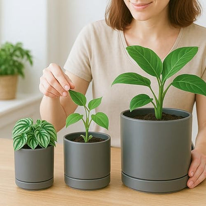 D'vine Dev 3-Pack Ceramic Pots with Saucers, 3/4/6 in, Grey, 94-T-S-3 | Glazed Ceramic, Drainage Hole, Perfect-Fit Saucer, Sleek Cylinder Shape, High Temperature Fired, Elegant Home Accent - color: Gray, size: 3"+4"+6"
