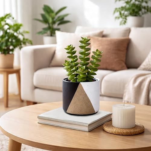 D'vine Dev 2-Pack Cachepot with Clear Pot, 4.5 in, Midnight Mesa, 93-V-B-2 | Dual-Pot System, Root Visibility, Bottom Watering Support, Enhanced Drainage, Artistic Stoneware Design, Easy Plant Care - color: Midnight Mesa, size: 4.5” Cachepot + 4“ Clear Gr