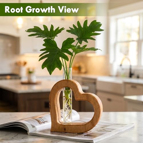 Glass Test Tube Plant Propagation Station Wooden Terrarium Holder | Wall Hanging for Indoor Water Plant Rooting, Wall Home Decor, Thoughtful Gardening Gift for Mom and Plant-Loving Women - size: 5.3*5.3IN