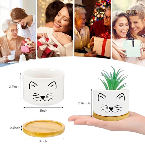 Cat Succulent Pots for Window Garden Cat Gifts for Women 3 Inch | Small Planters with Drainage and Bamboo Tray,Decor for Office Home,Windowsill,Cat Gifts for Women Mom (No Plants Included) - style: Cat Black