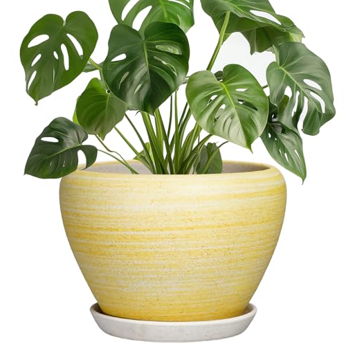 Ceramic Plant Pots - 8 Inch Planter with Drainage Hole and Tray, Decorative Pots for Plants Indoor Outdoor, Round Modern Plant Pot, Apartment Decor, Gifts for Men Women, Textured Yellow - color: Textured Yellow, size: 8 Inch