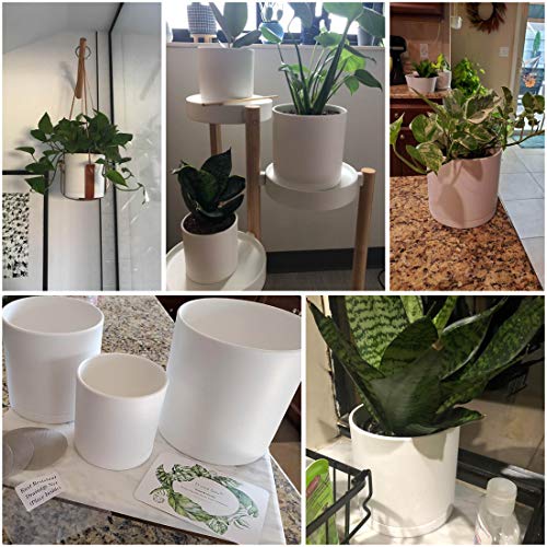 D'vine Dev 3-Pack Plastic Pots & Saucers, 4/5/6 in, White, 74-V-A-1 | Multi-Size Options, Lightweight Durable, Matte Finish, Cylinder Shape, Drainage Holes, Sleek Design, Detachable Saucer - color: Matte White, size: Small