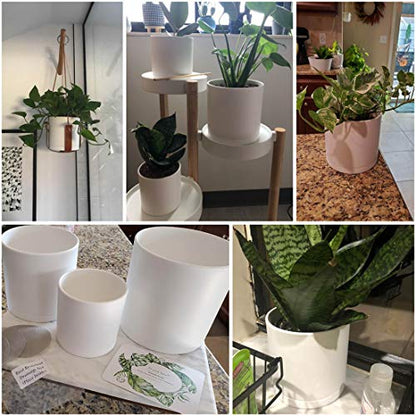 D'vine Dev 3-Pack Plastic Pots & Saucers, 4/5/6 in, White, 74-V-A-1 | Multi-Size Options, Lightweight Durable, Matte Finish, Cylinder Shape, Drainage Holes, Sleek Design, Detachable Saucer - color: Matte White, size: Small