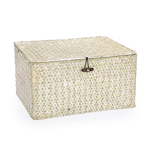 Hipiwe Wicker Shelf Baskets Bin with Lid, Large Seagrass Basket Storage Box | Handwoven Natural Baskets for Shelf Organizer, Rectangular Household Basket Boxes for Home Decor, Whitewash - color: Whitewash, size: Large