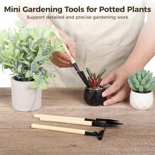 8 Sets Mini Gardening Tools, Portable Garden Tool with Wooden Handle, Steel Hand Tool Kit with Rake, Trowel, Shovel for Bonsai, Succulents, Herbs, Indoor Plants, Small Pot Gardening