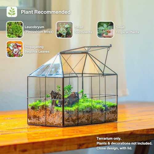 NCYP Glass Terrarium Planter with Lid for Small Succulent Plants, Grid House Shape Black Geometric Terrarium Pot, Home Garden Indoor Tabletop Decor, 9.84" x 5.31" x 7.87" (No Plants)