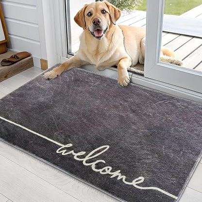Washable Indoor Door Mat, 24"x36", Low-Profile Soft Surface Entrance Mat, Durable Stain & Fade Resistant, Non-Slip Absorbent Backing, Easy Clean Welcome Doormat for Home Indoor Entryway - size: 2' x 3' (Rectangular)