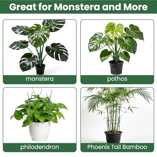 Monstera Plant Support Kit with Waterproof Repotting Mat, 10 Stackable Poles, 9 Curved Connectors, Plant Tie Wire & Hook and Loop Tape for Monstera, Pothos, Philodendron