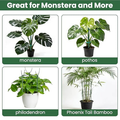 Monstera Plant Support Kit with Waterproof Repotting Mat, 10 Stackable Poles, 9 Curved Connectors, Plant Tie Wire & Hook and Loop Tape for Monstera, Pothos, Philodendron
