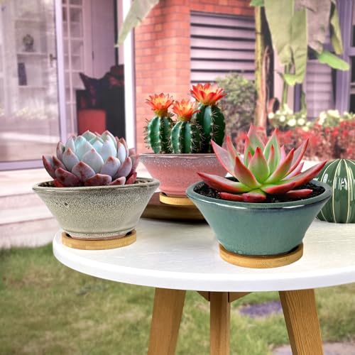 6 Inch Glazed Terracotta Succulent Pot Planter Small Plant Pot with Drainage Hole and Bamboo Saucer Cactus Ceramic Pot Set of 3 (Light Green Pink White)