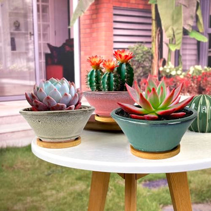 6 Inch Glazed Terracotta Succulent Pot Planter Small Plant Pot with Drainage Hole and Bamboo Saucer Cactus Ceramic Pot Set of 3 (Light Green Pink White)