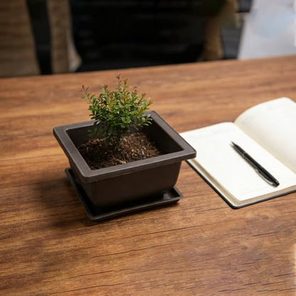 15 PCS 4.7 Inch Bonsai Training Pots, Square Plastic Plants Growing Pots, Flower Succulent Pots Container with 15 Drainage Trays for Garden, Office, Porch, Balcony, Home - size: 4.7 Inch