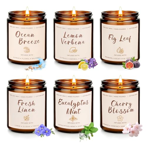 Soy Scented Candles Gift Set - 6 Pack Natural Soy Wax Long Lasting Candles | 42oz 300 Hour Candles Gift for Women Birthday Valentine, Spring Summer Aromatherapy Candles for Home Scented - color: 6 Pack Spring Summer Candles