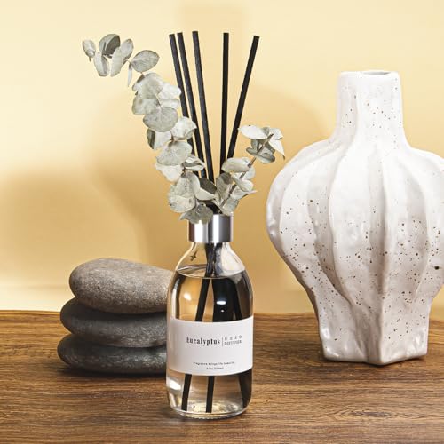 Clesh Reed Diffuser Set, 6.7 oz Eucalyptus Scented Diffuser with Sticks, Home Fragrance Reed Diffuser for Bathroom Shelf Decor