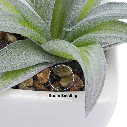 FUNARTY 5pcs Artificial Succulent Plants, Small Fake Desk Plants Mini Succulents Indoor for Shelf Living Room Bedroom Windowsills Office Home Decoration (Include White Ceramic Pots)