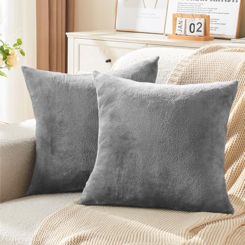 BEDELITE Velvet Pillow Covers with Zipper, Gray, 18x18 Inches, 2 Pack | Super Soft, Cozy Luxury Feel, Square Decorative Pillow Covers, for Bedroom Sofa Couch, All-Season Comfort, Easy Care - color: Gray, size: 18" x 18" (Pack of 2)