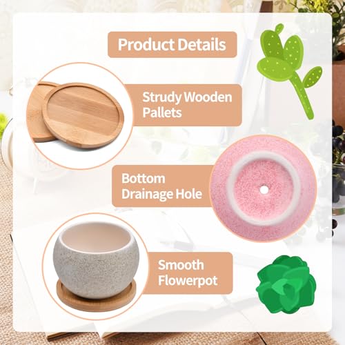6 Pack Ceramic Succulent Pots with Drainage – Small Round Planters for Indoor Plants & Cactus, Mini Flower Pots with Bamboo Trays, Desk & Home Décor, Gift for Plant Lovers, Office, Balcony, Garden - style: Round