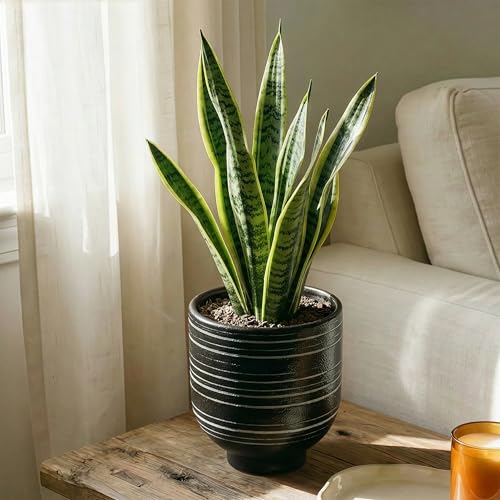 HERDUK Indoor Ceramic Planter, Black Striped Pot for Shelf, Drainage Hole | Compact black striped ceramic planter with a sculptural footed base, designed to elevate small indoor plants and home décor. - color: Black, size: 6.7 Inch