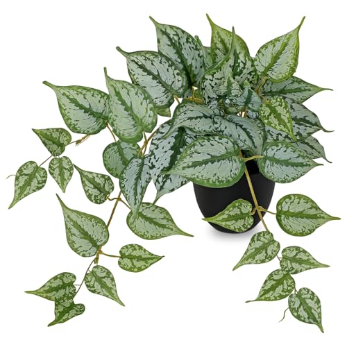 Villa Como 17.7" Artificial Plants Indoor Home Decor Faux Ivy Plant | Small Fake Potted Plants Silk Plants for Shelves Desks Living Room Office Decor, Faux Greenery Tropical Plant - color: #Green Mix White Ivy Plant