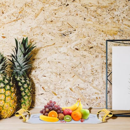 Mikinona Fruit Serving Platter Stainless Steel Dessert Serving Plate Desktop Fruit Tray for Snacks Cakes Nuts Candies Home Parties Weddings Picnics 11.02 X 7.87 X 1.37 in