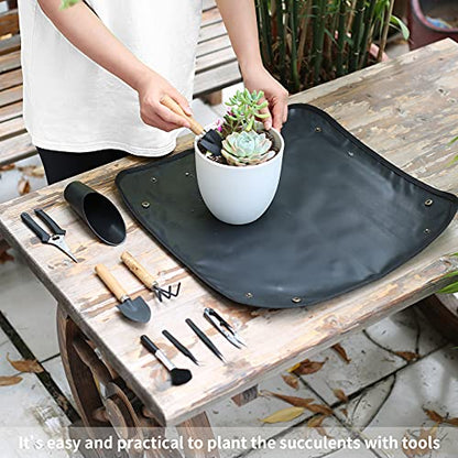 11Pcs Succulent Tools, Mini Garden Tools, Plant Repotting Set(No Flowerpot) | Succulent Watering Tool as Plant Accessories,Small Gardening Hand Tools Kit for Indoor Seedling Soil,Caring Houseplant - style: Abundant Garden Tools
