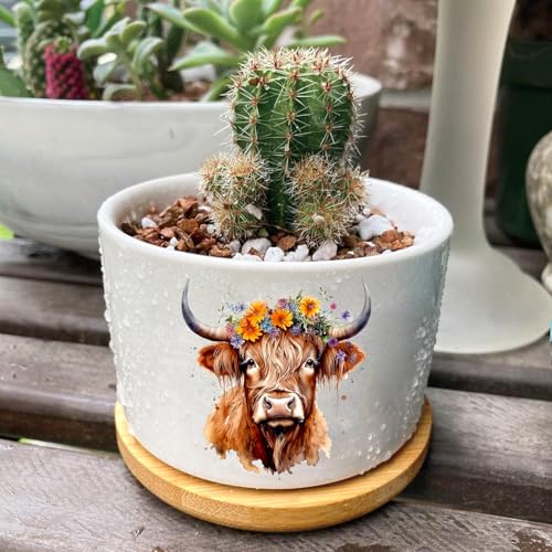 3Pcs Highland Cow Succulent Pots with Drainage and Bamboo Tray,3 Inch | Small Ceramic Planters for Plants,Cactus,Decoration for Office Home,Windowsill,Gifts for Women Mom (No Plants Included) - style: Highland Cow