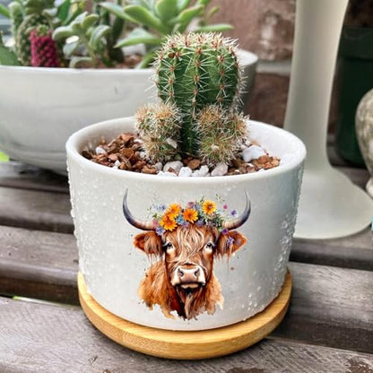 3Pcs Highland Cow Succulent Pots with Drainage and Bamboo Tray,3 Inch | Small Ceramic Planters for Plants,Cactus,Decoration for Office Home,Windowsill,Gifts for Women Mom (No Plants Included) - style: Highland Cow