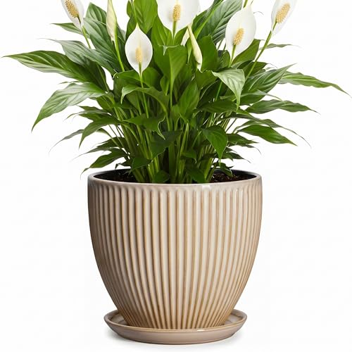 8 Inch Pots for Plants, Ceramic Planter with Drainage Hole and Saucer, Decorative Indoor Plant Pots for Snake Plants, Modern Round Flower Pot, Office House Decor, Gardening Gifts, Beige - size: 8 Inch, style: Beige