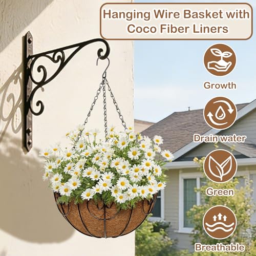 12 inch Metal Hanging Baskets for Plants Outdoor, 2 Pack Metal Wire Hanging Basket Planter with Coco Liner Flower Pots for Indoor Outdoor Garden Porch Patio, Heart-Shaped - size: 12" x 2 Pack, style: Heart