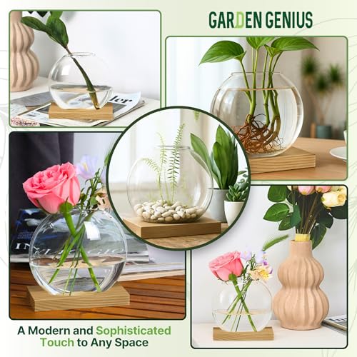 Single Glass Propagation Station with Wooden Base – Hydroponic Plant Terrarium for Home & Office | Ideal Christmas, New Year & Birthday Gift for Plant Lovers, Moms | Desktop Windowsill Planter Vase - size: Brown (Round Vase)