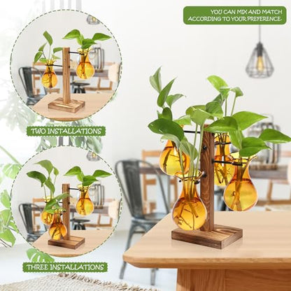 Plants Propagation Stations Bulb Glass Propagation Birthday Gift for Women | Garden Plant Lovers - 4 Bulb - color: Amber
